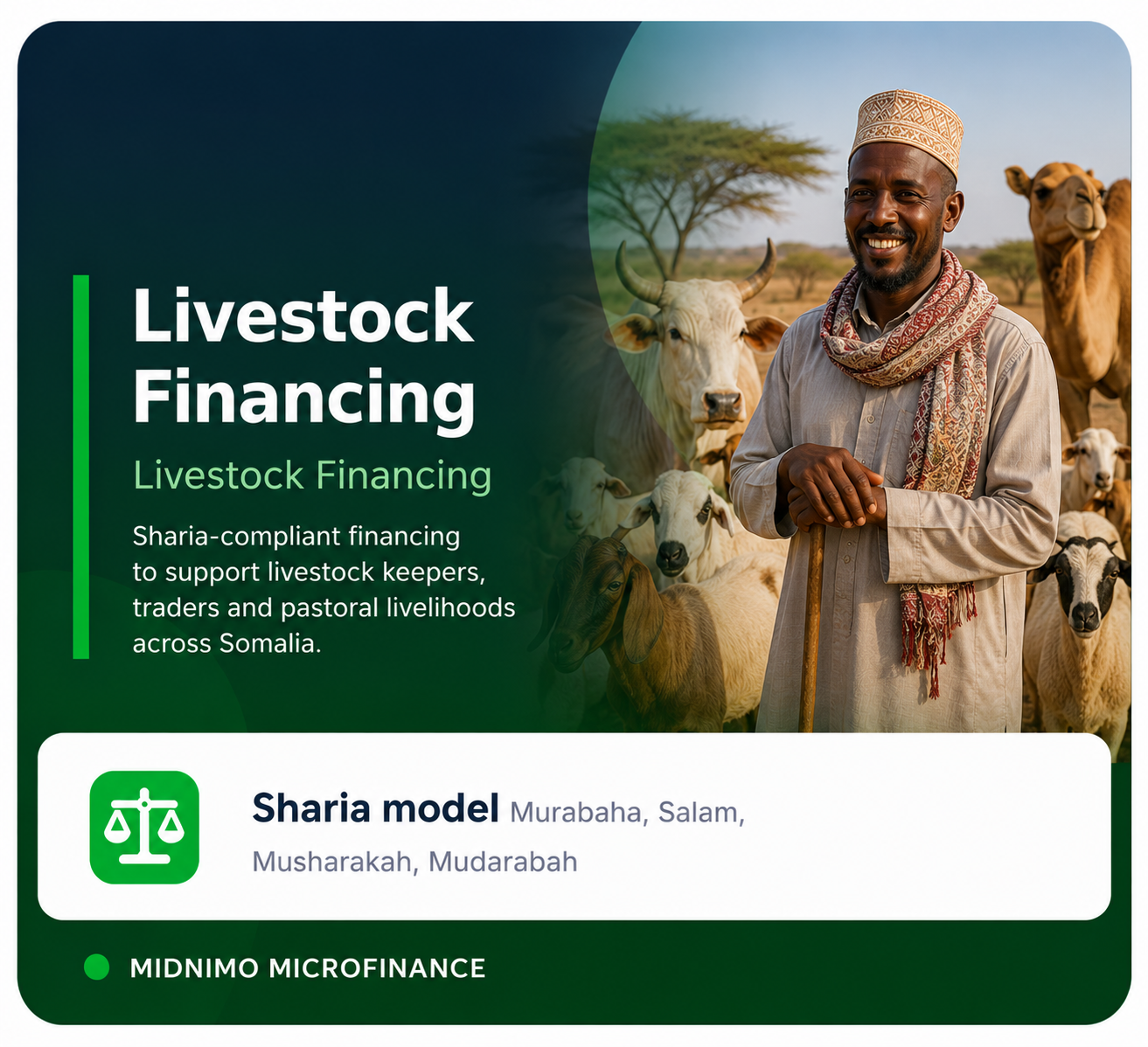 Livestock Financing